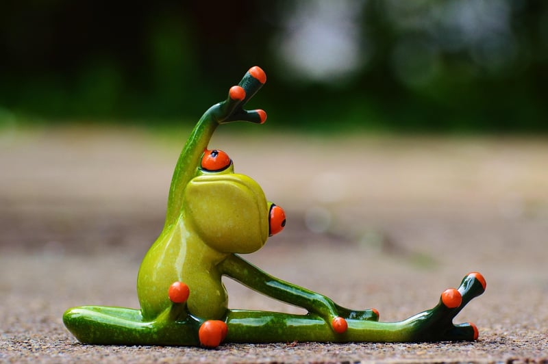 Stott Pilates Image